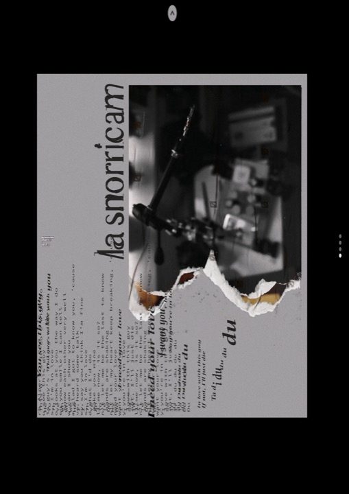 La snorricam poster.