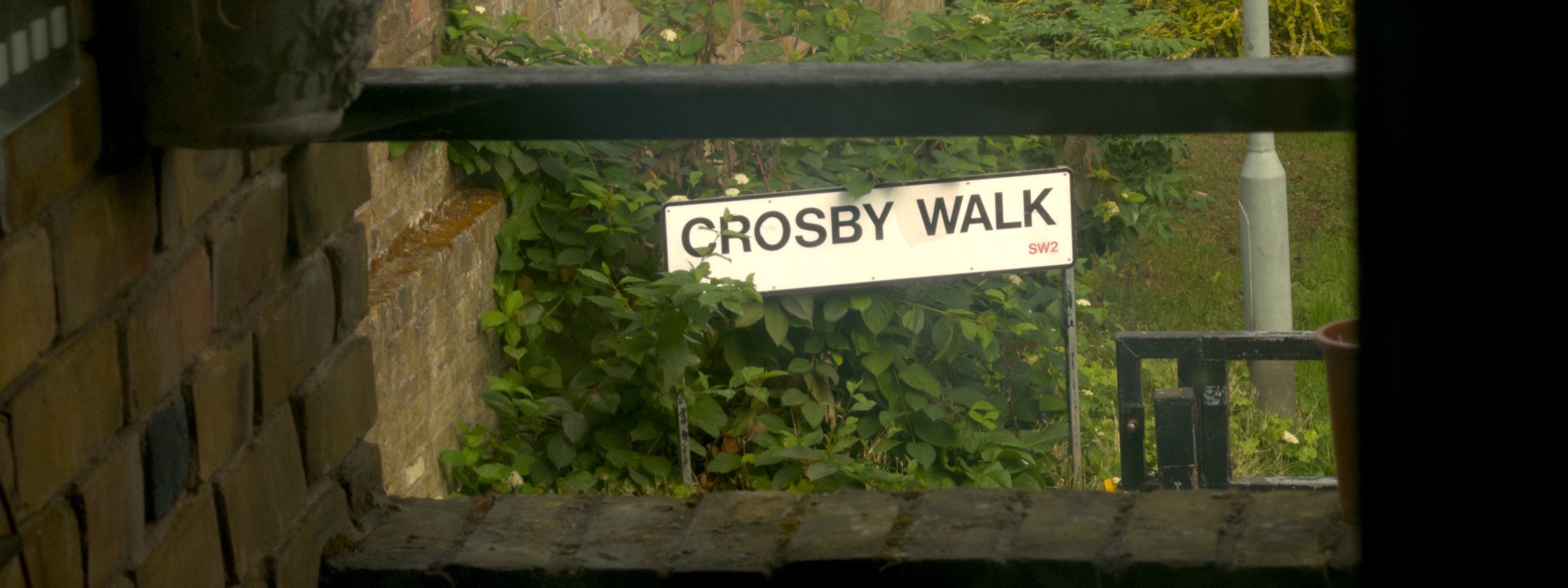 A photograph taken with Riva: a street sign in a hedge, in the 2.663:1 frame.