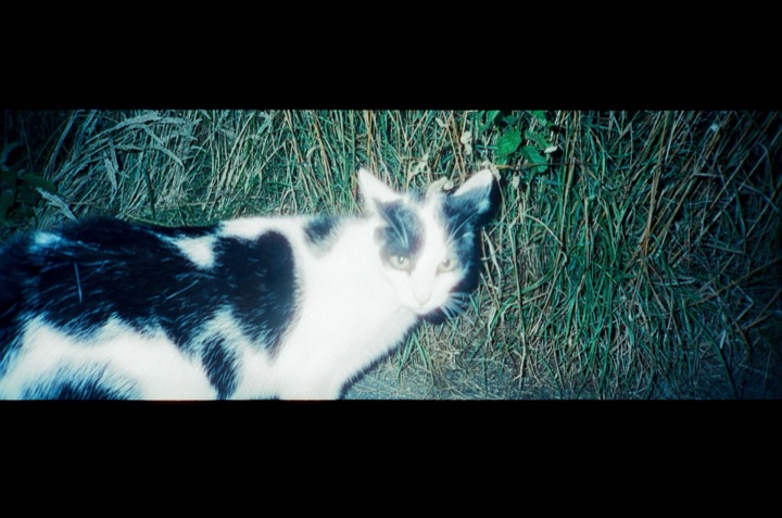 Photograph from the UGHBOYNT archive, image 018.