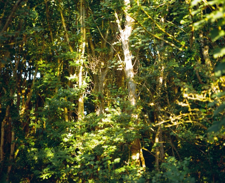 Photograph from the UGHBOYNT archive, image 037.