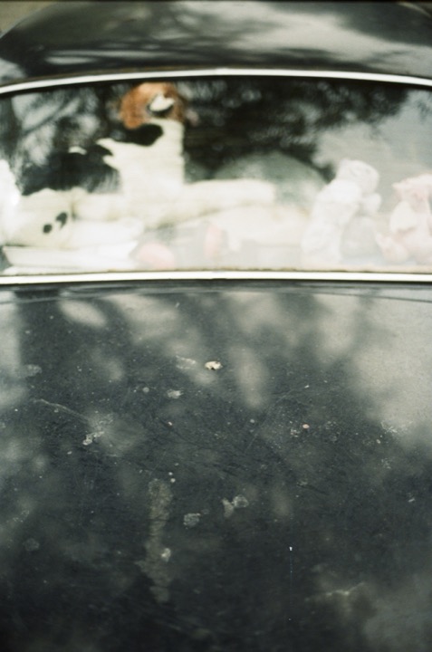 Photograph from the Waiting archive, image 026.