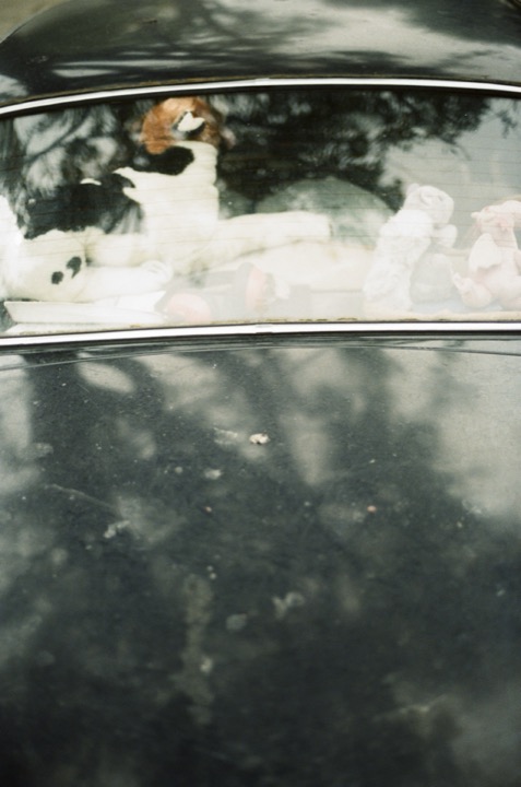 Photograph from the Waiting archive, image 027.