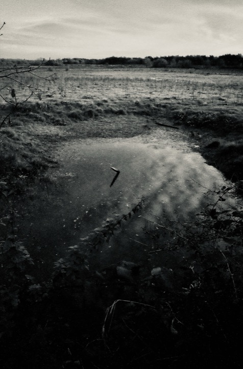 Photograph from the Waiting archive, image 105.
